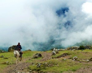Cannabis für medizinische Behandlungszwecke