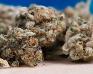 Auch Kanada hat sich eingereiht in die Liste der Staaten, welche Cannabis legalisieren wollen. Legalisierungsgesetz für Cannabis