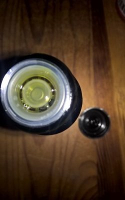 Cannawelt Bio Hanfsamenöl