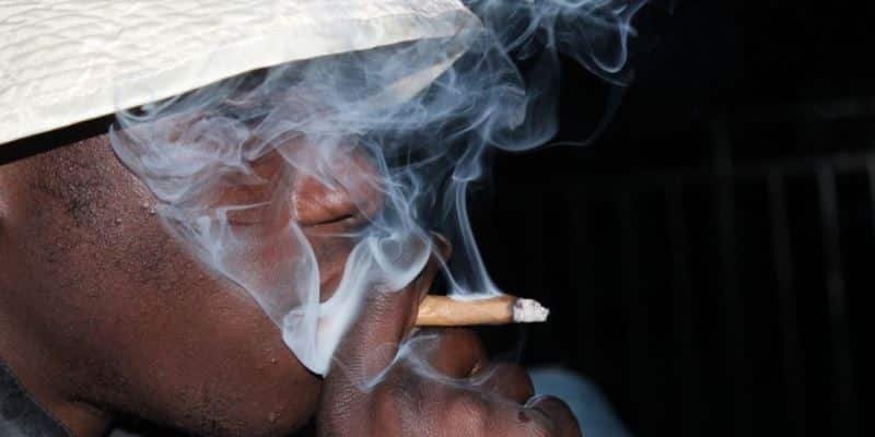 Cannabis Blunts gesundheitssch&auml;dlich