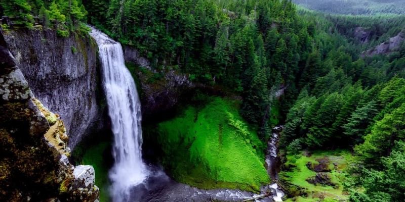 Cannabis Überproduktion in Oregon