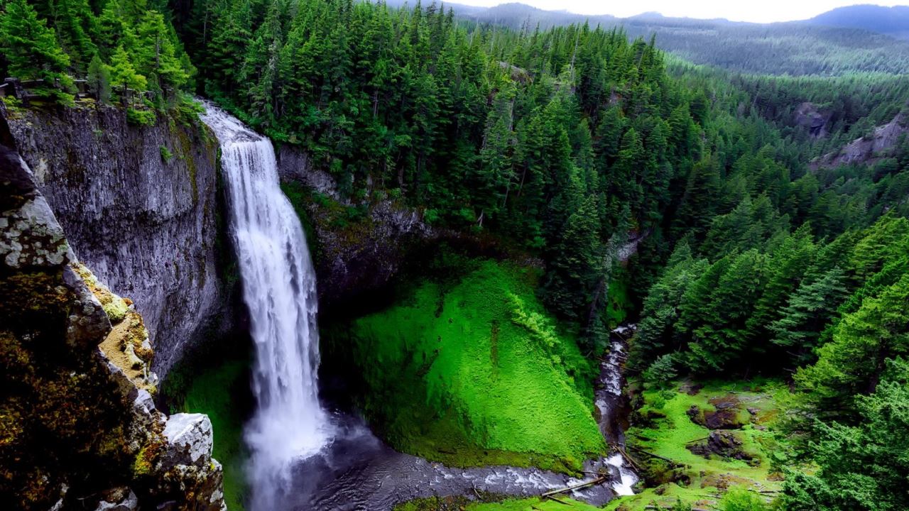 Cannabis Überproduktion in Oregon