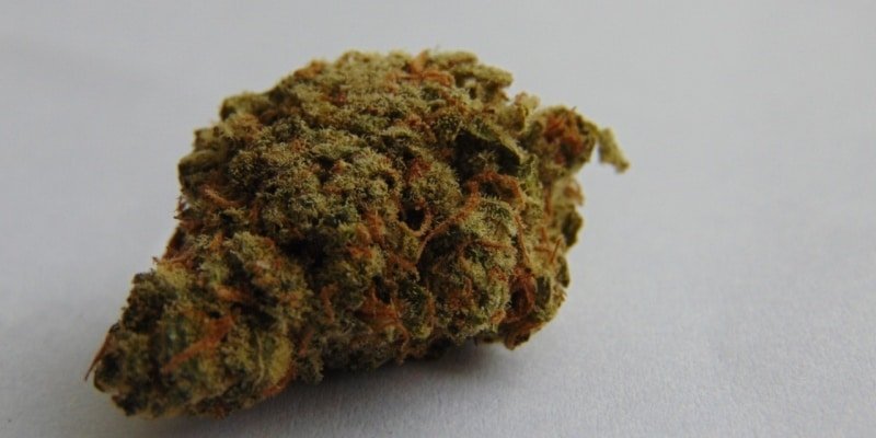 Cannabis für Minderjährige