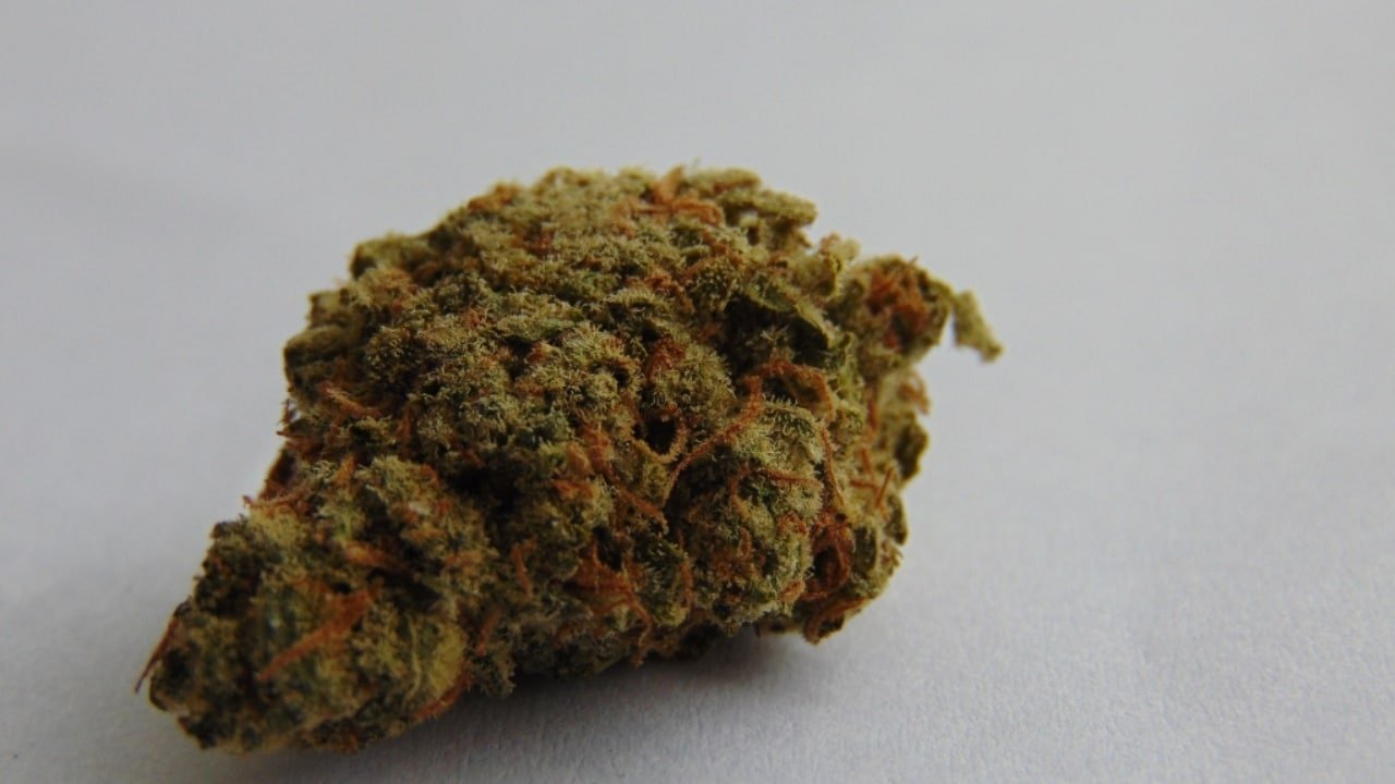 Cannabis f&uuml;r Minderj&auml;hrige