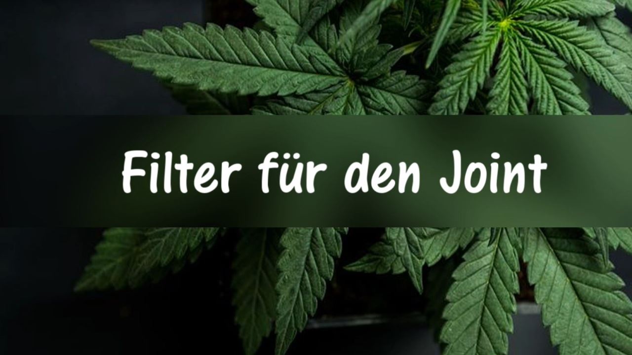 Filter für den Joint