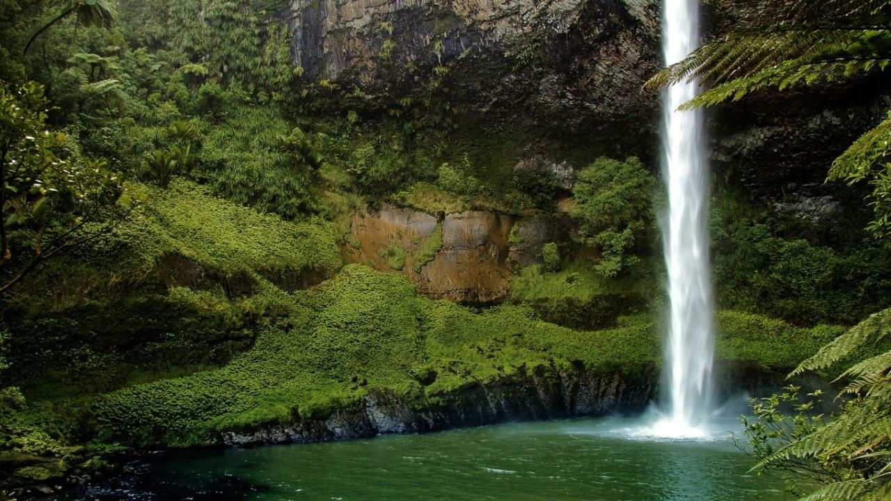 Referendum zur Cannabis Legalisierung