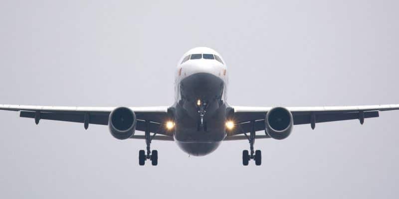 Transportbehörde erlaubt CBD Cannabismedizin