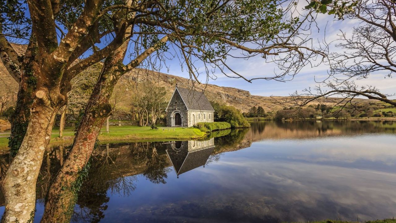 Irland legalisiert Hanf