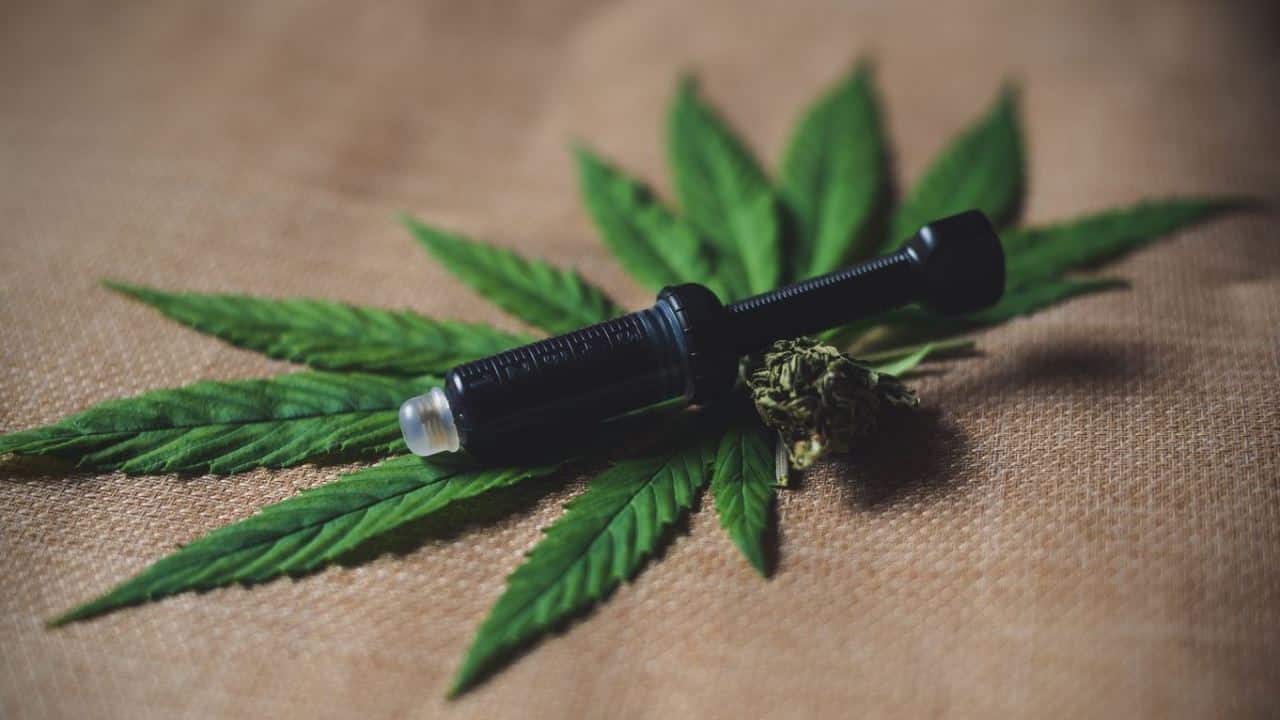 CBD-Cannabis Unternehmen