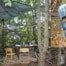 Cannabis Dealer im Wald