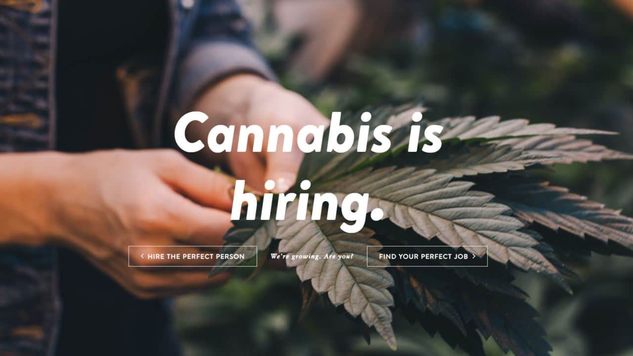 Cannabis Jobs