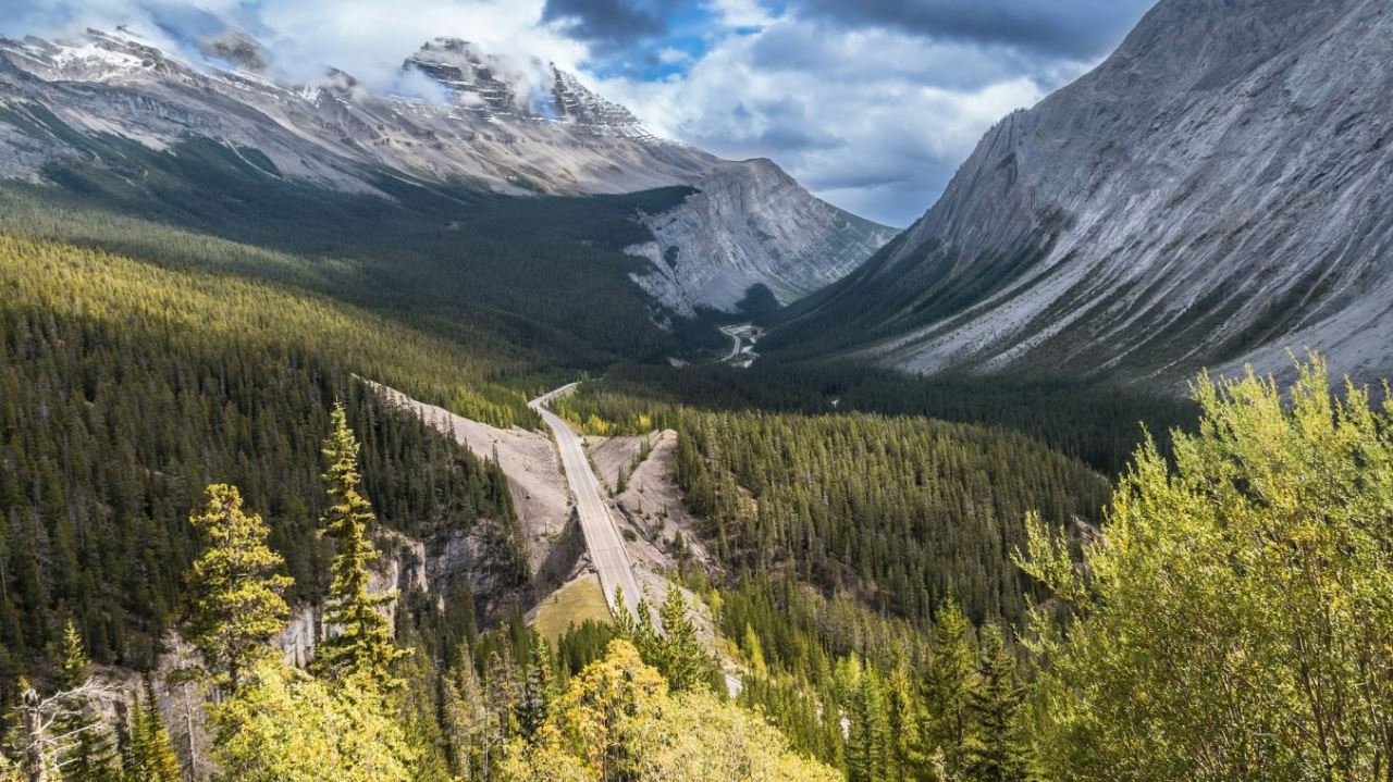 Cannabiswirtschaft und Fachkr&auml;fte