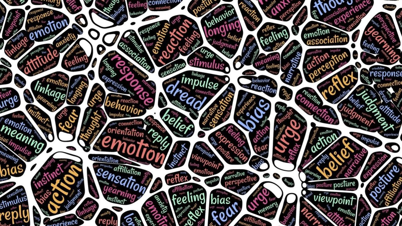 Gehirnregionen Cannabisrausch