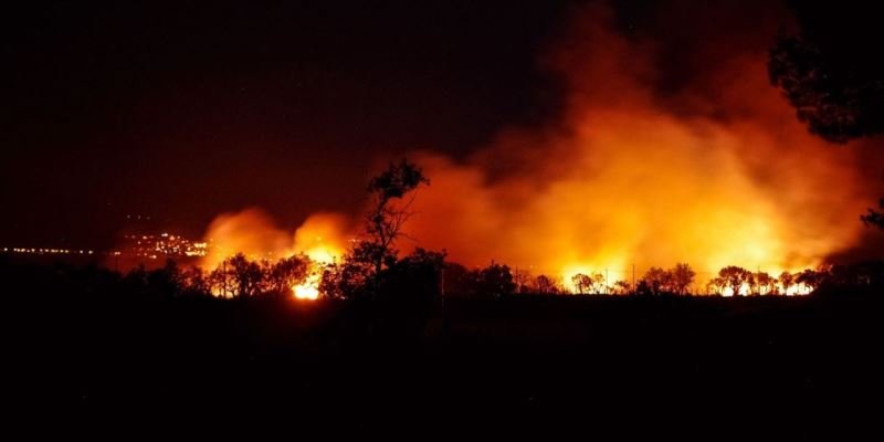 Waldbrände Cannabisbauern