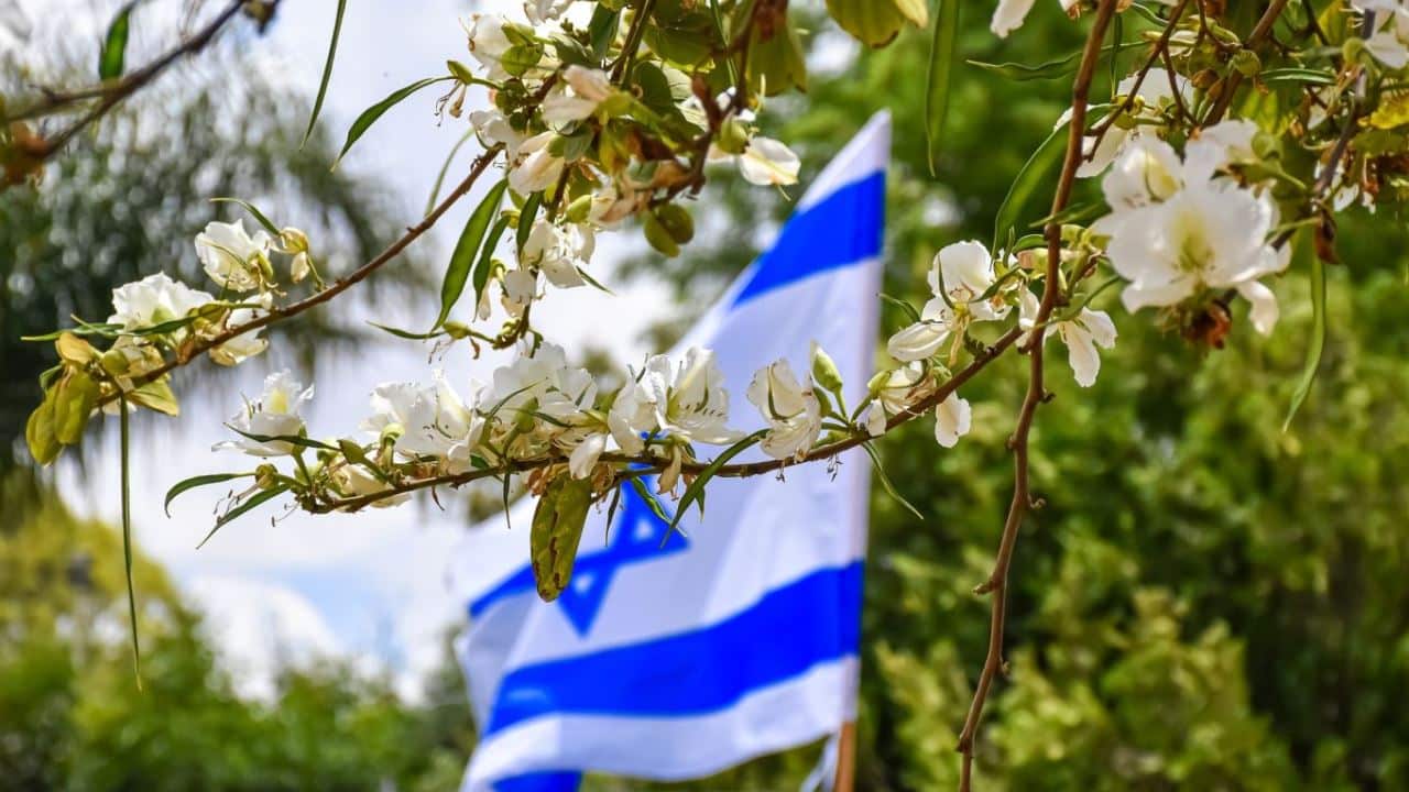 Cannabis Aktien aus Israel