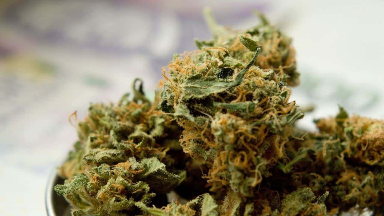 Drogenbeh&ouml;rde DEA