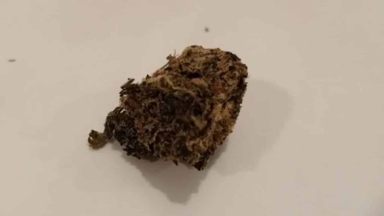 Cannabis und Bioverf&uuml;gbarkeit