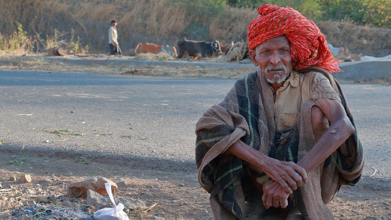 Indien Cannabis anbauen