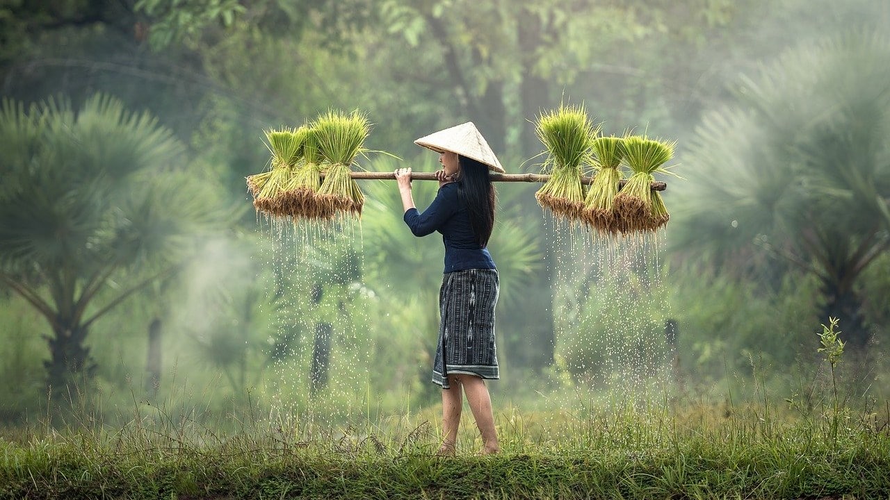 Thailand Cannabis Krankenhaus