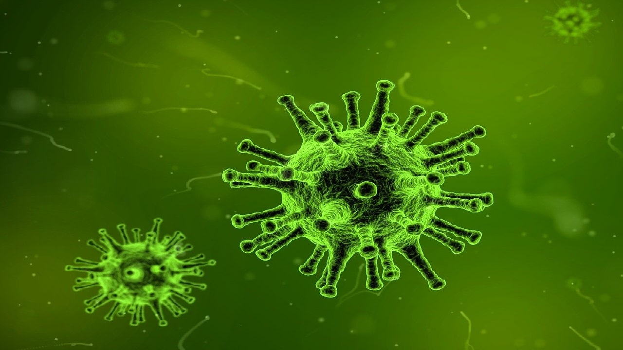 Cannabis Coronavirus