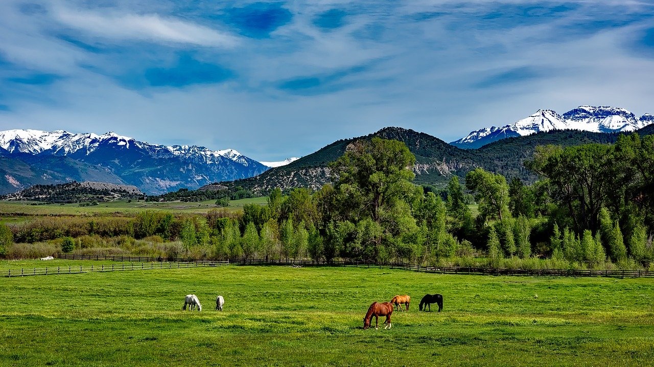 Cannabis legal Colorado