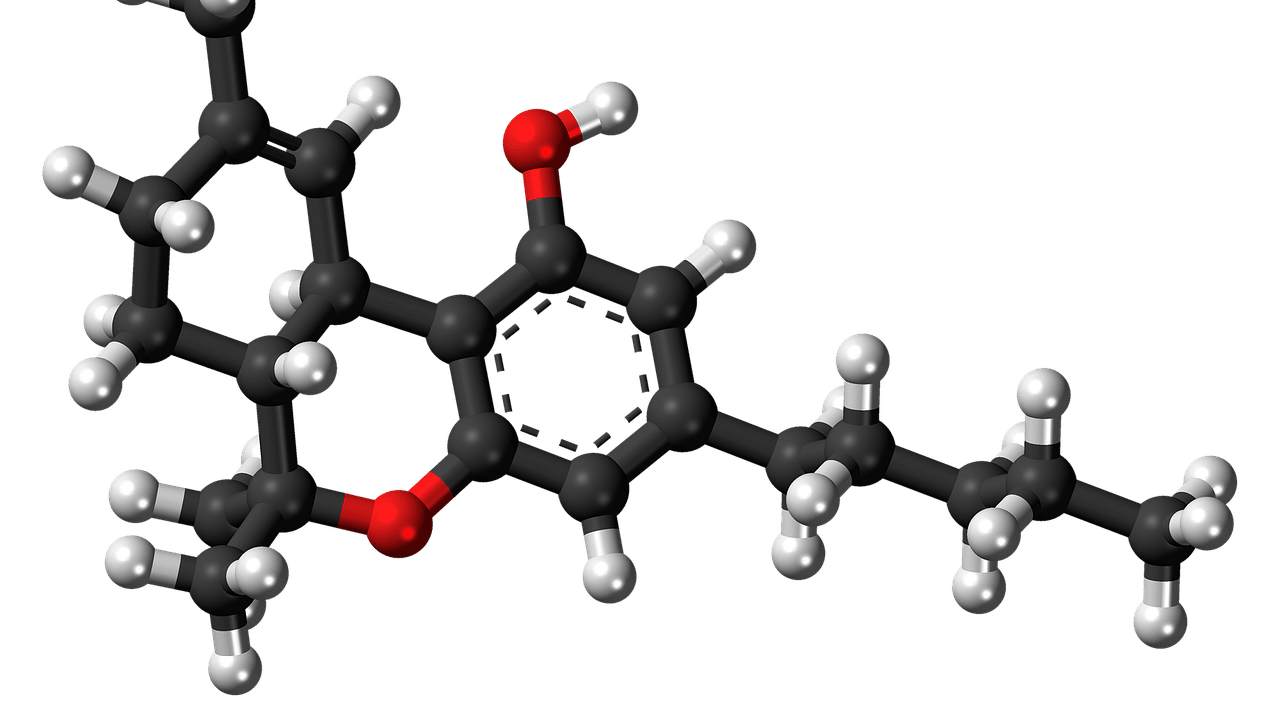 THC Dosierung Forschung