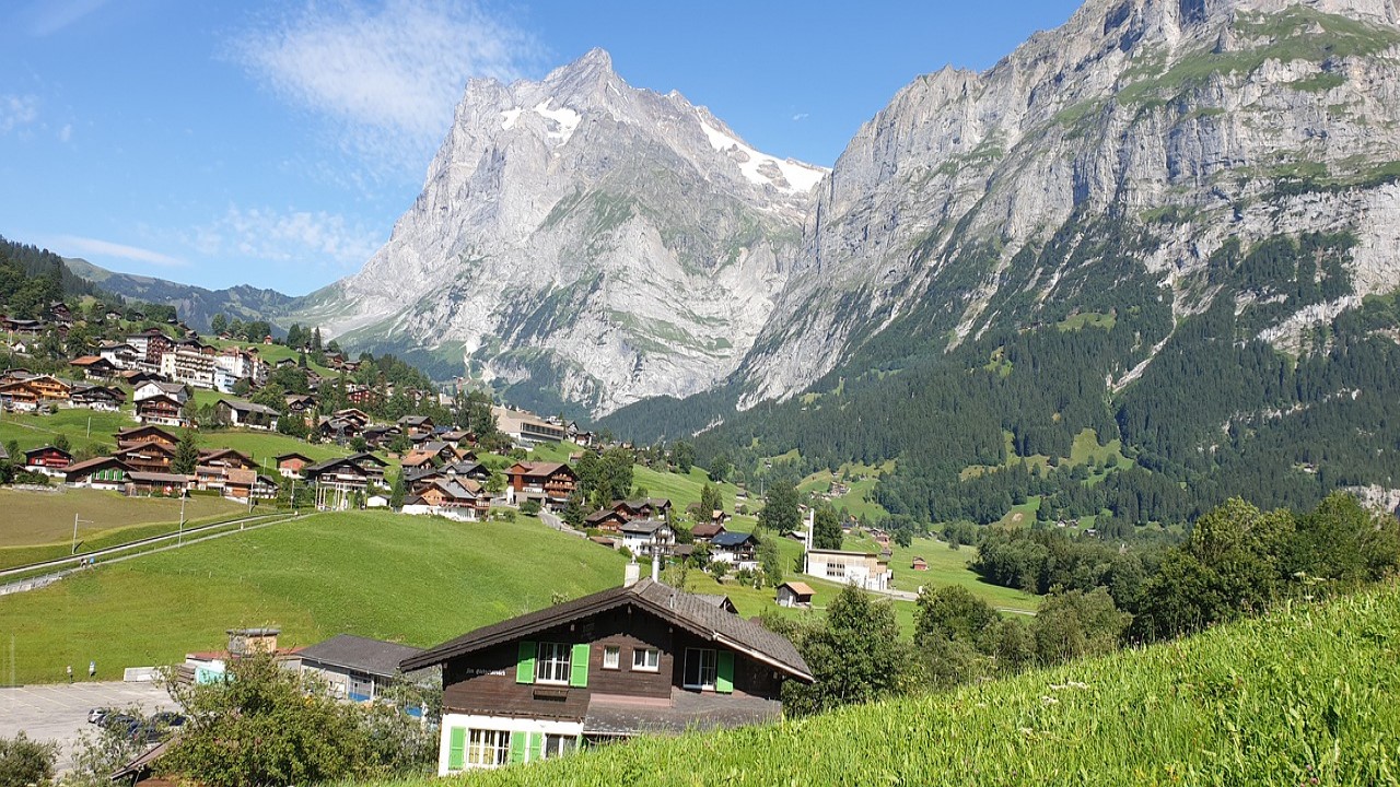 Schweiz Cannabismedizin Rezept