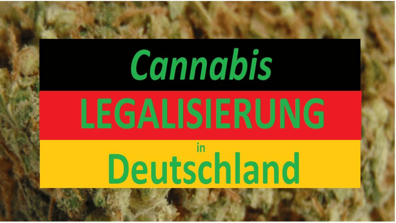 Cannabis Legalisierung in Deutschland: Aktueller Überblick - THC.guide