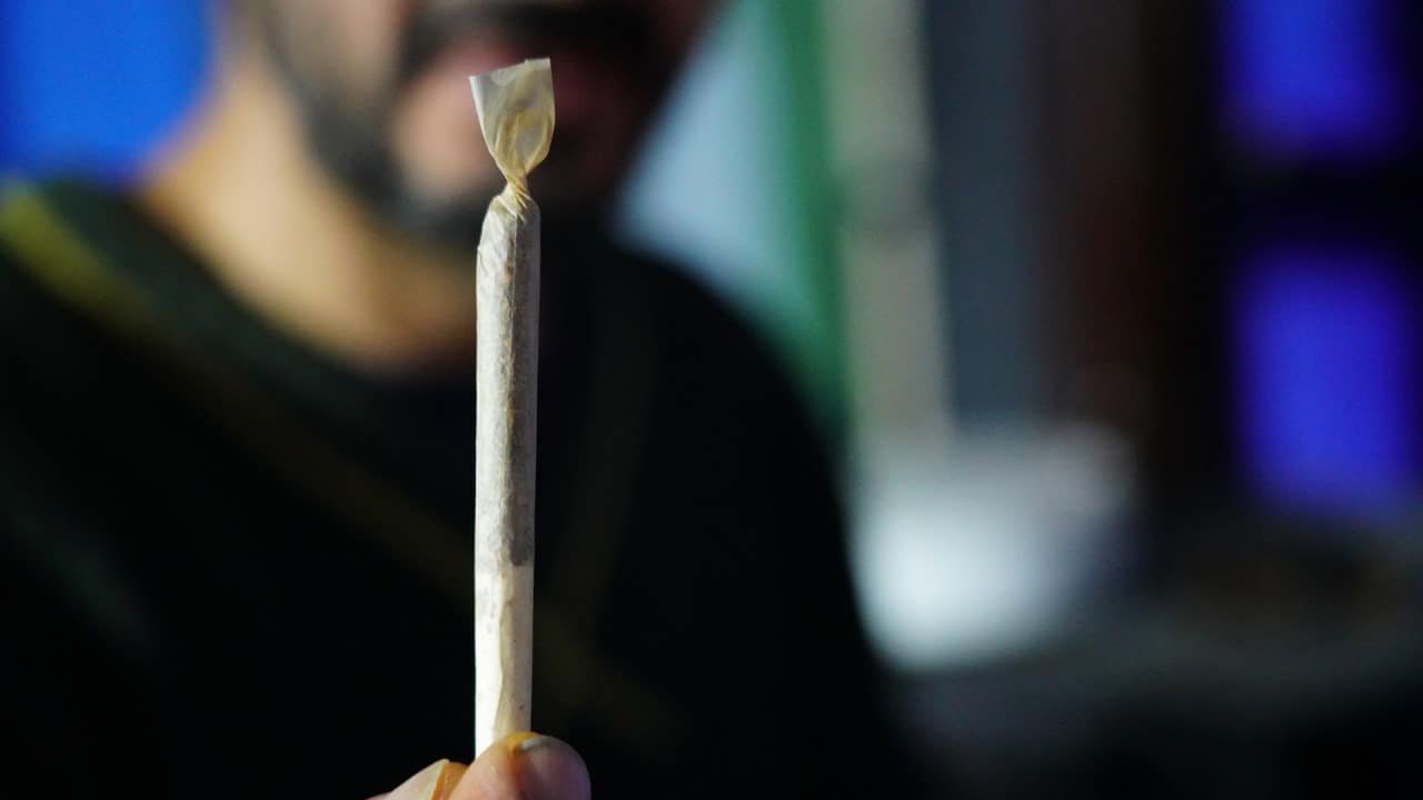 100 Tage Cannabis-Legalisierung